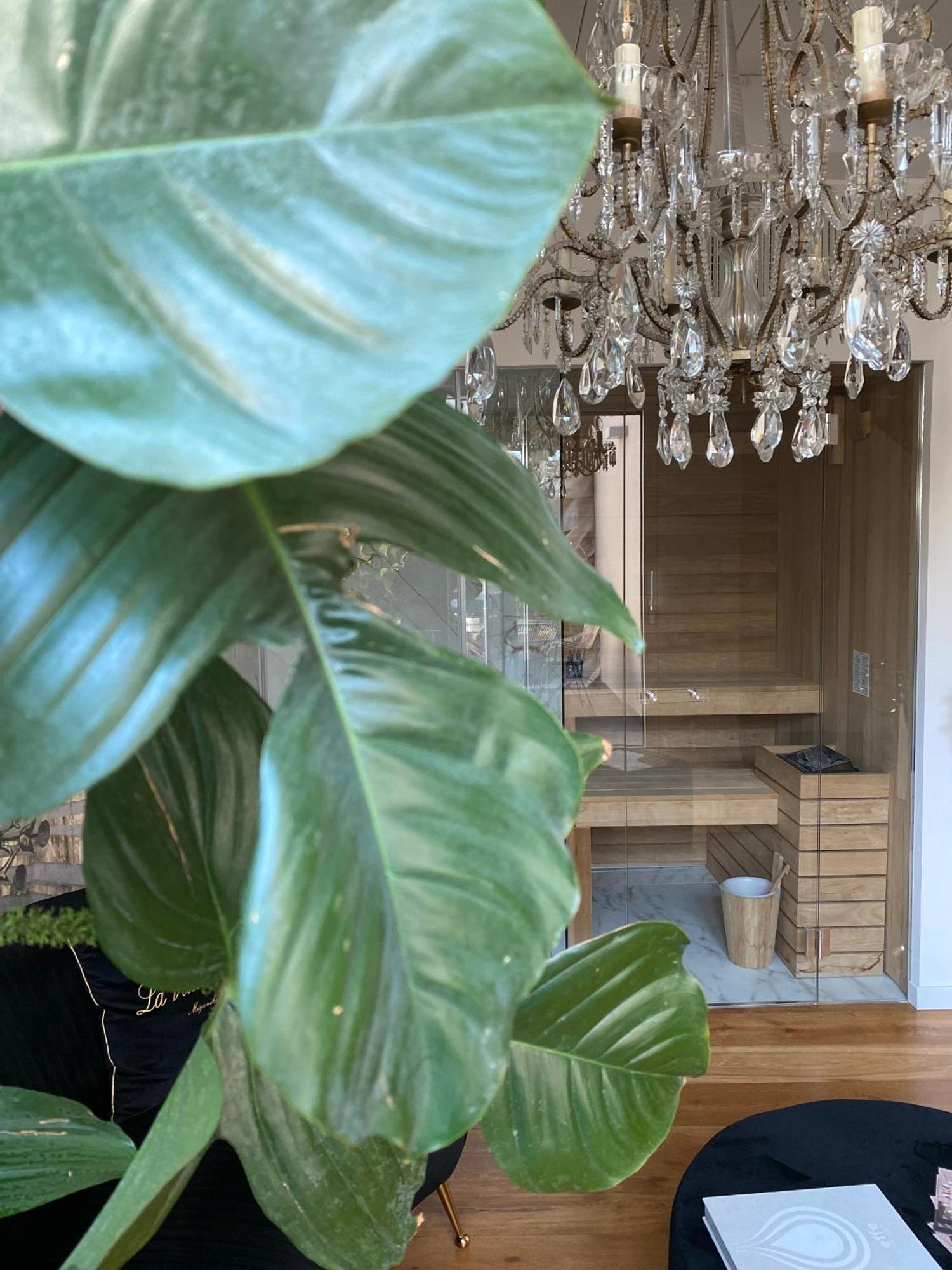 Ca' Squero911 Luxury Rooms 체제나티코 외부 사진